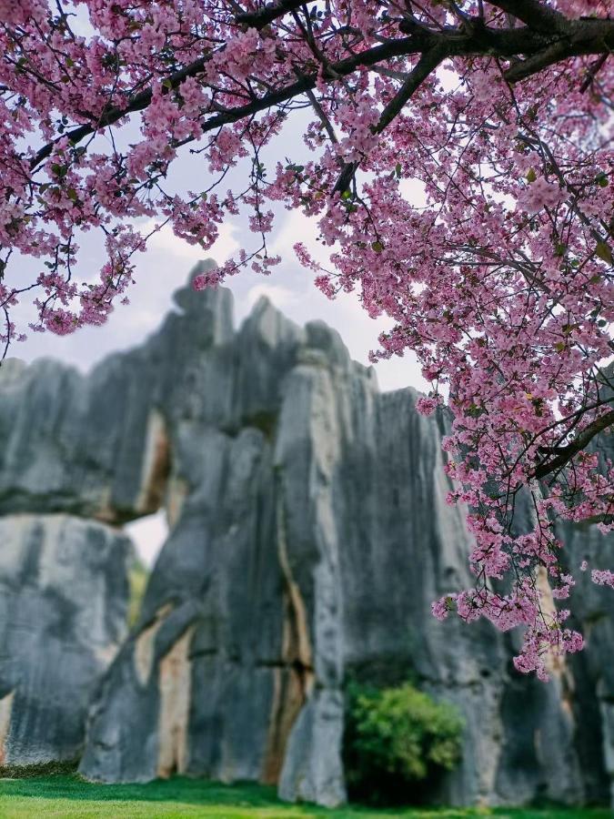 Stone Forest Mijia Guest House Shilin Eksteriør billede